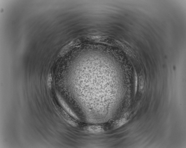 X0000087690279200705181802