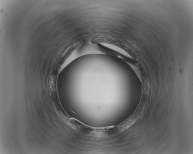 X0000087690280200705181802