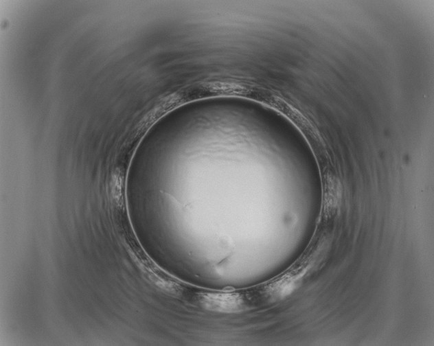 X0000087690281200705181802