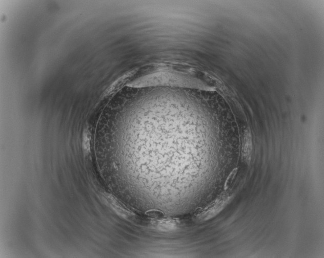 X0000087690282200705181802