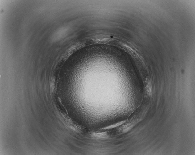 X0000087690283200705181802