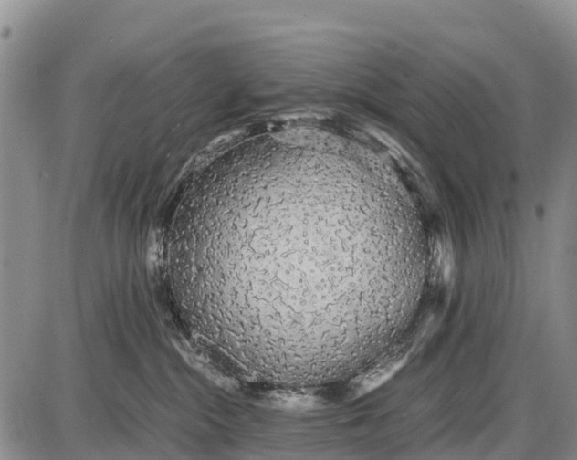 X0000087690284200705181802