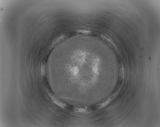 X0000087690285200705181802