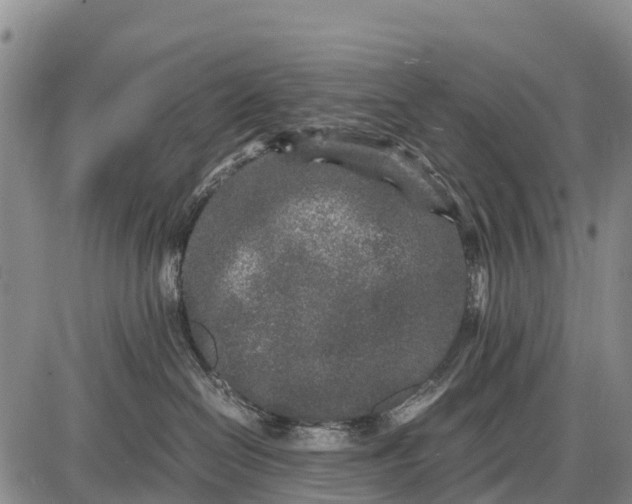 X0000087690286200705181802