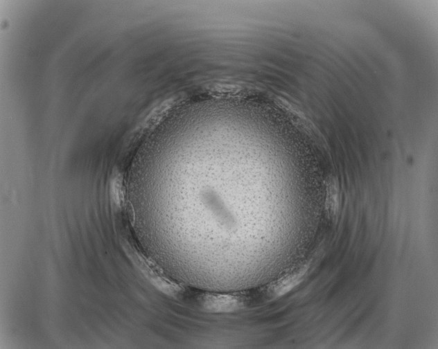 X0000087690287200705181802