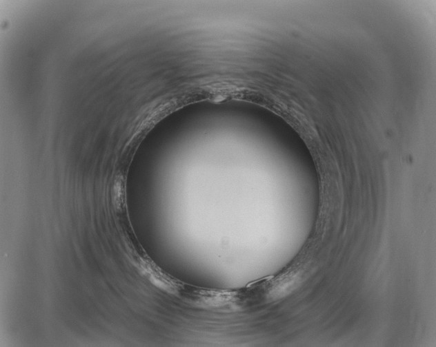 X0000087690288200705181802