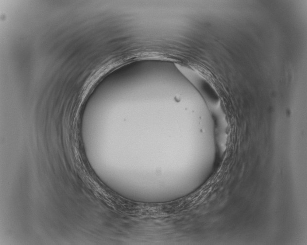 X0000087690289200705181801