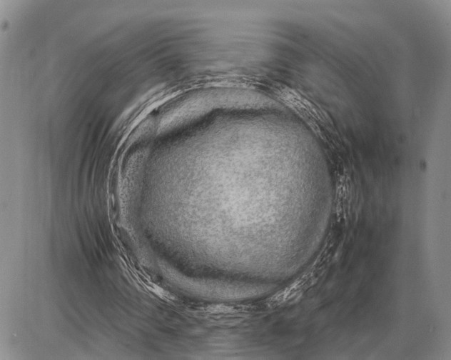 X0000087690290200705181801