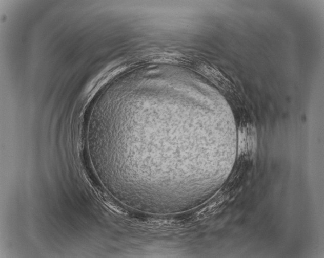 X0000087690291200705181801