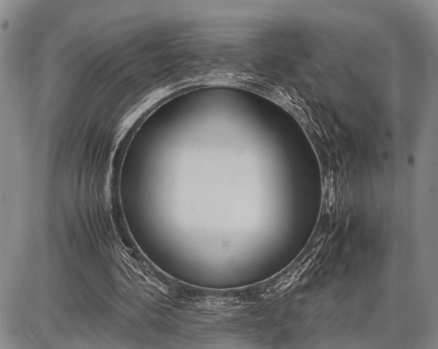 X0000087690292200705181801