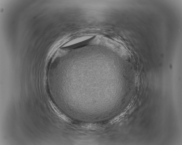 X0000087690293200705181801