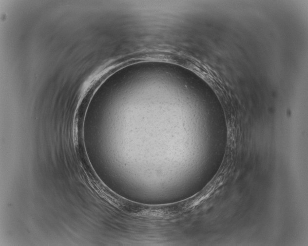 X0000087690294200705181801