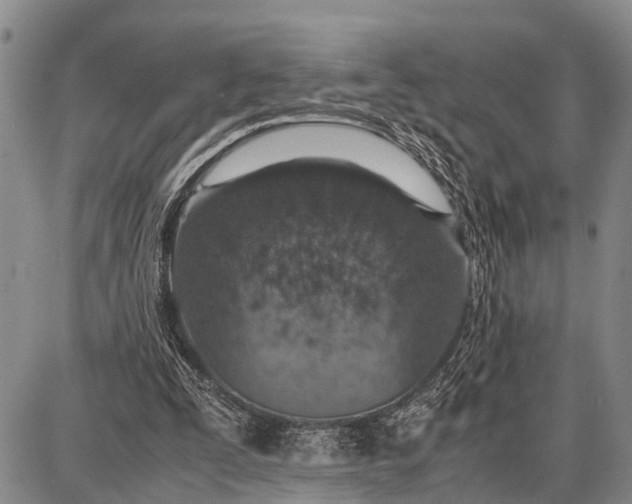 X0000087690295200705181801