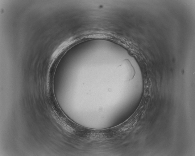 X0000087690296200705181801