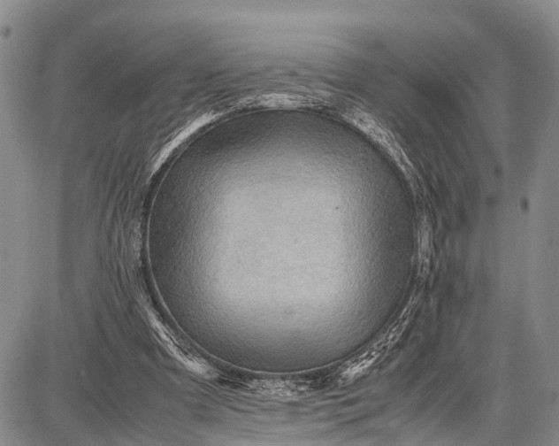 X0000087690297200705181801