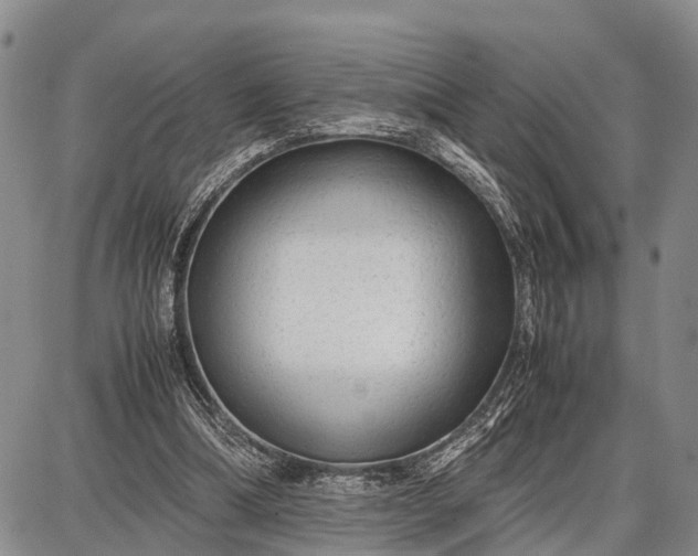 X0000087690298200705181801