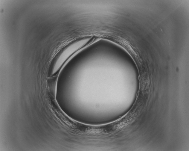 X0000087690299200705181801