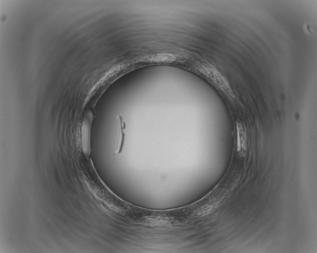 X0000087690300200705181801