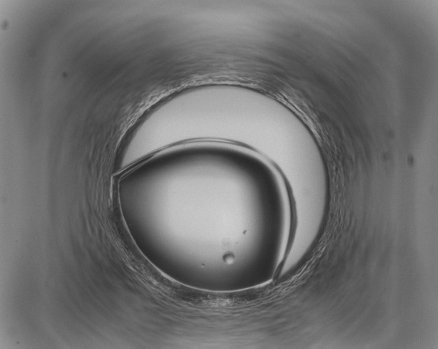 X0000087690301200705181801