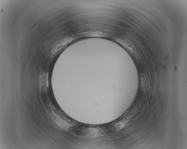 X0000087690302200705181801