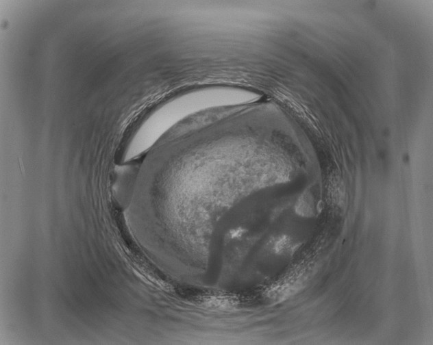 X0000087690303200705181801