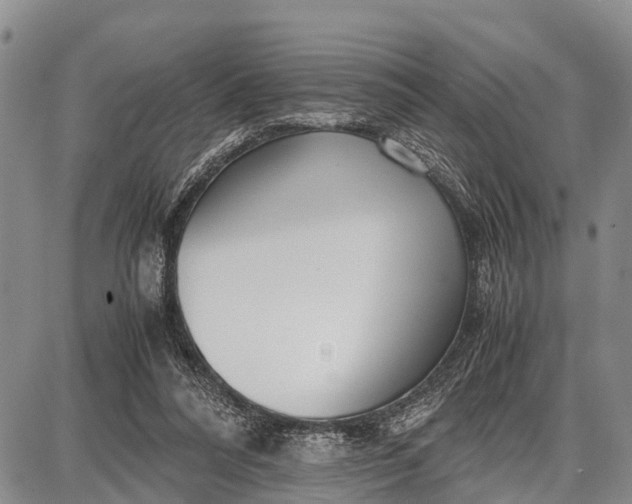 X0000087690304200705181801