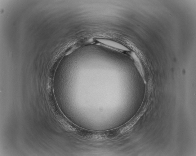 X0000087690305200705181801