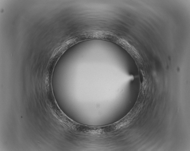 X0000087690306200705181801