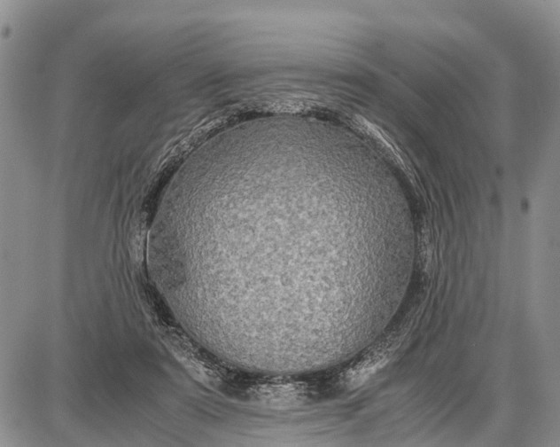 X0000087690307200705181801