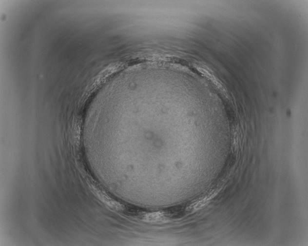 X0000087690309200705181801