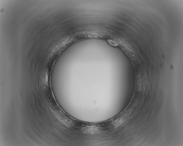 X0000087690310200705181801