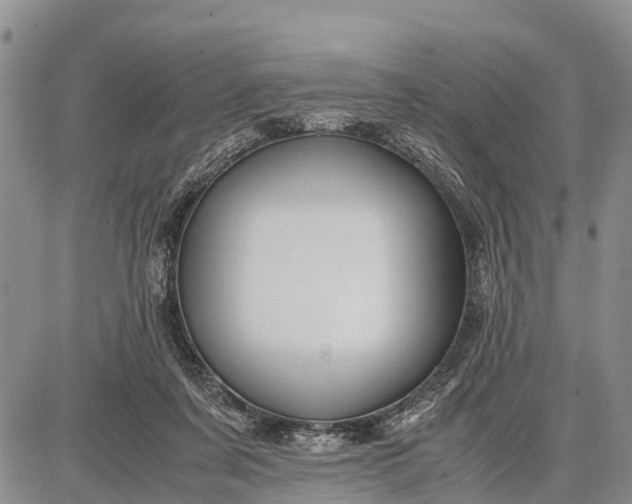 X0000087690311200705181801