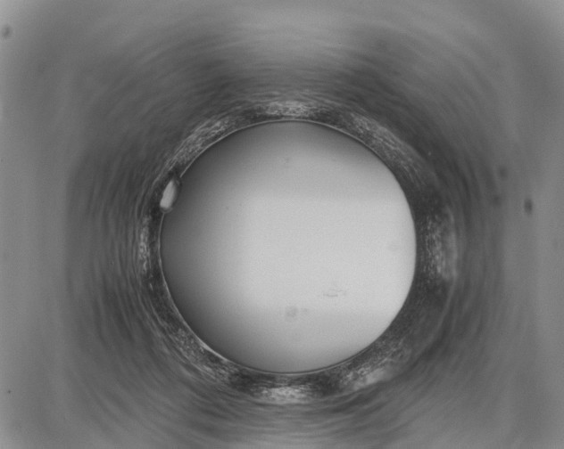 X0000087690312200705181801