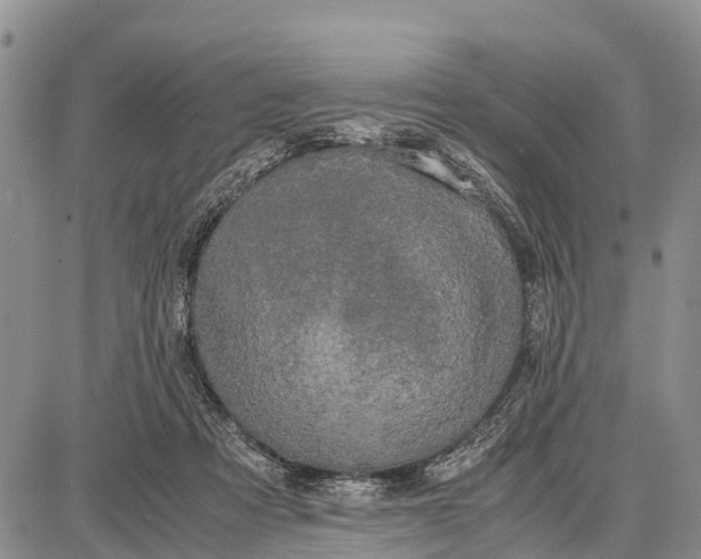 X0000087690313200705181801