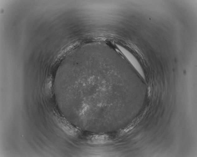 X0000087690314200705181801