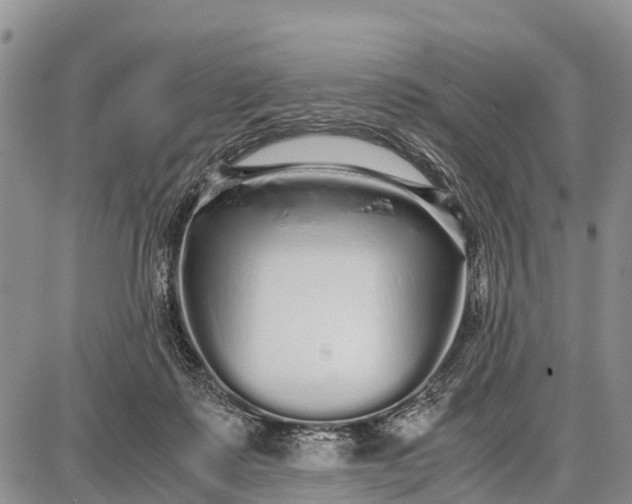 X0000087690315200705181801