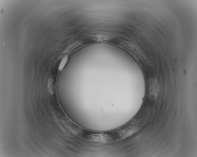 X0000087690316200705181801