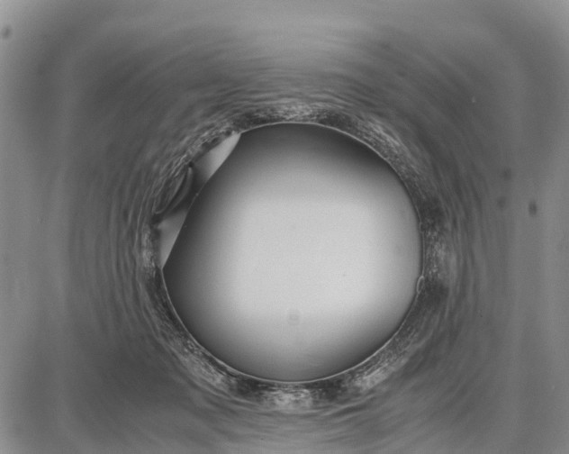 X0000087690317200705181801