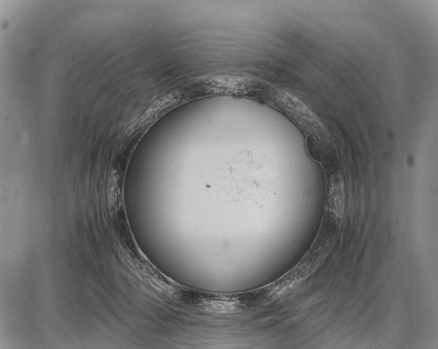 X0000087690318200705181801