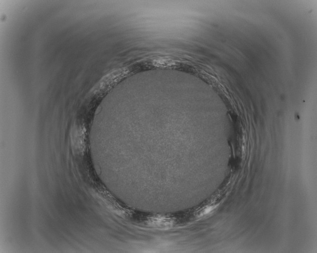 X0000087690319200705181801