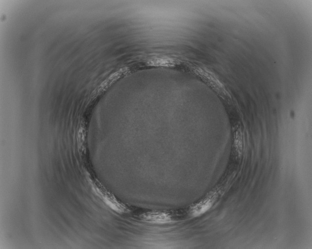 X0000087690322200705181801