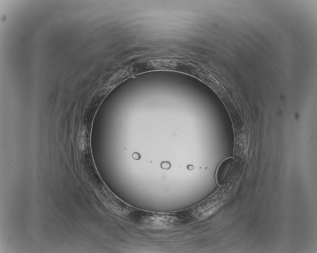 X0000087690323200705181801