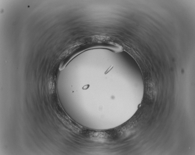 X0000087690324200705181801