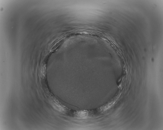 X0000087690325200705181801