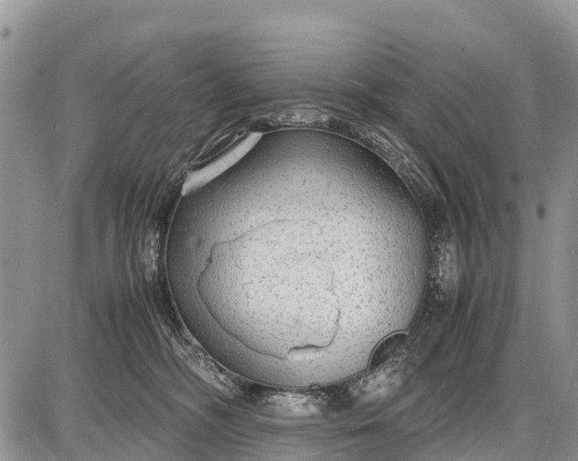 X0000087690326200705181801