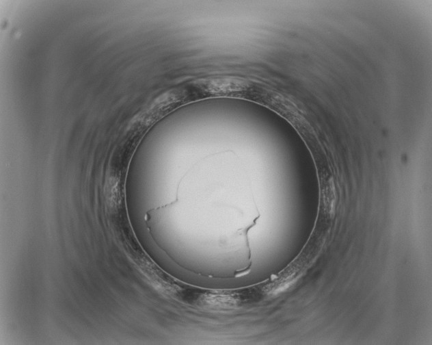 X0000087690327200705181801