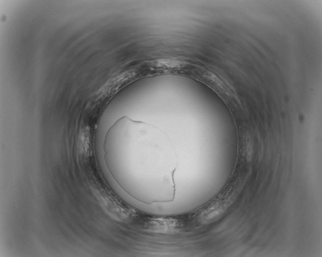 X0000087690328200705181801