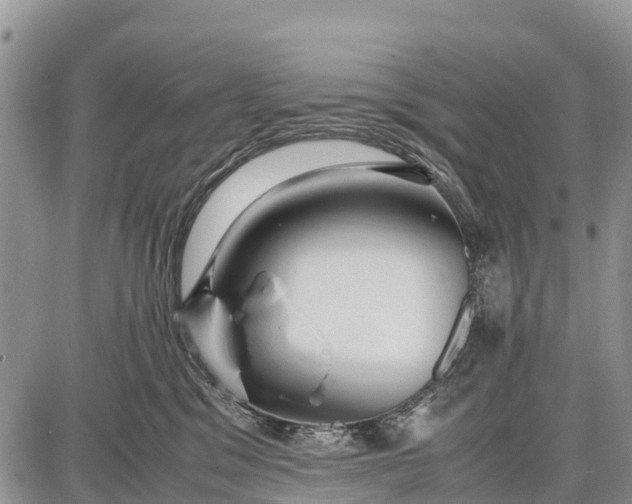 X0000087690329200705181801