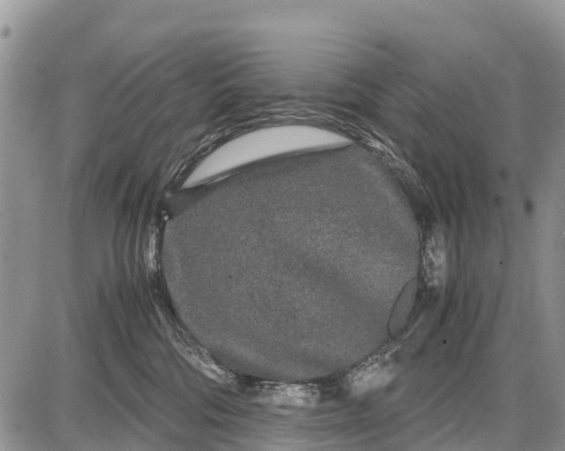 X0000087690330200705181801