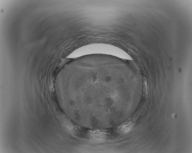 X0000087690331200705181801